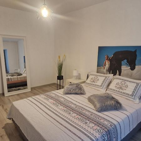 Apartament De Lux Craiova Bagian luar foto
